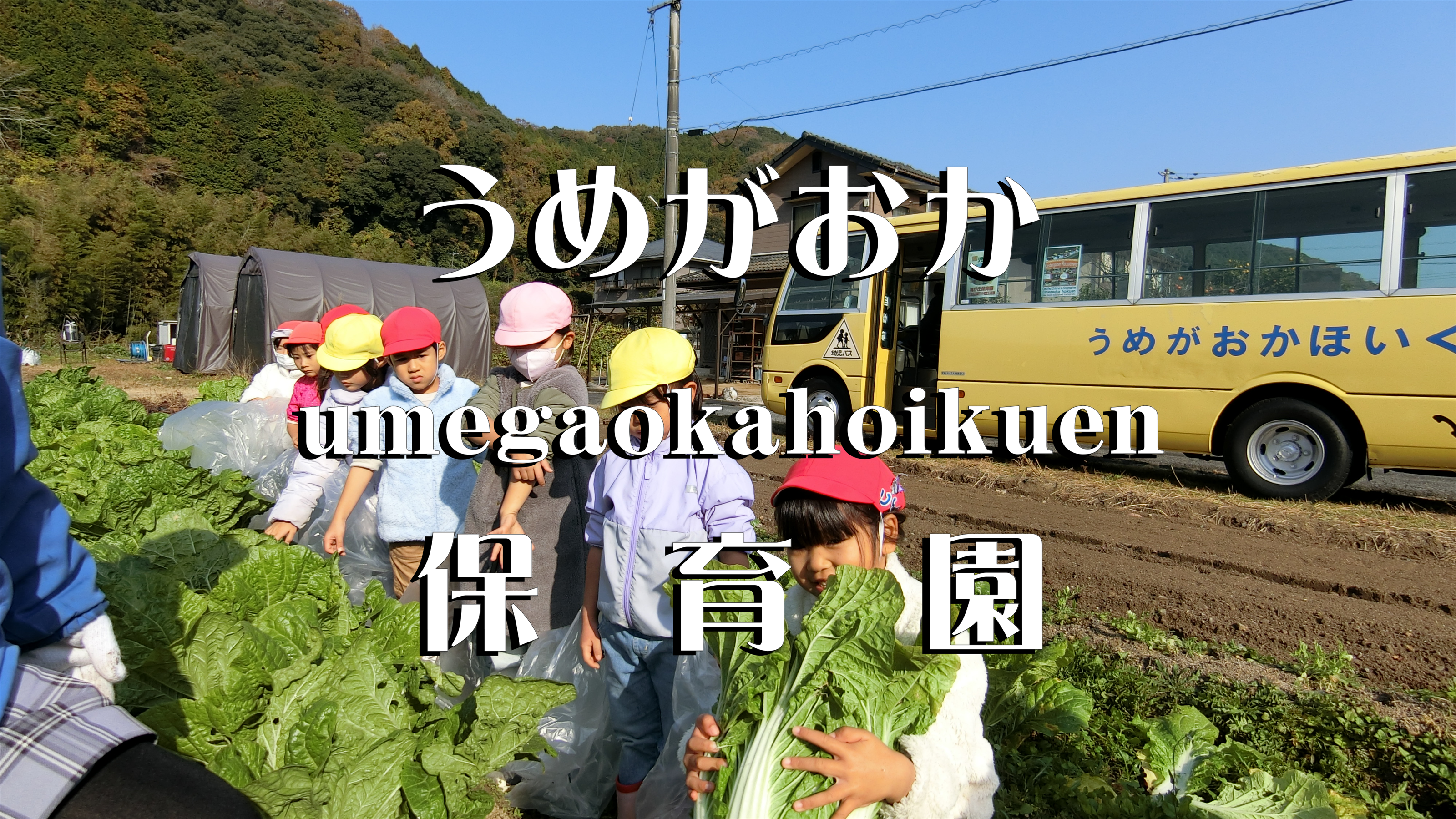 年間野菜栽培計画