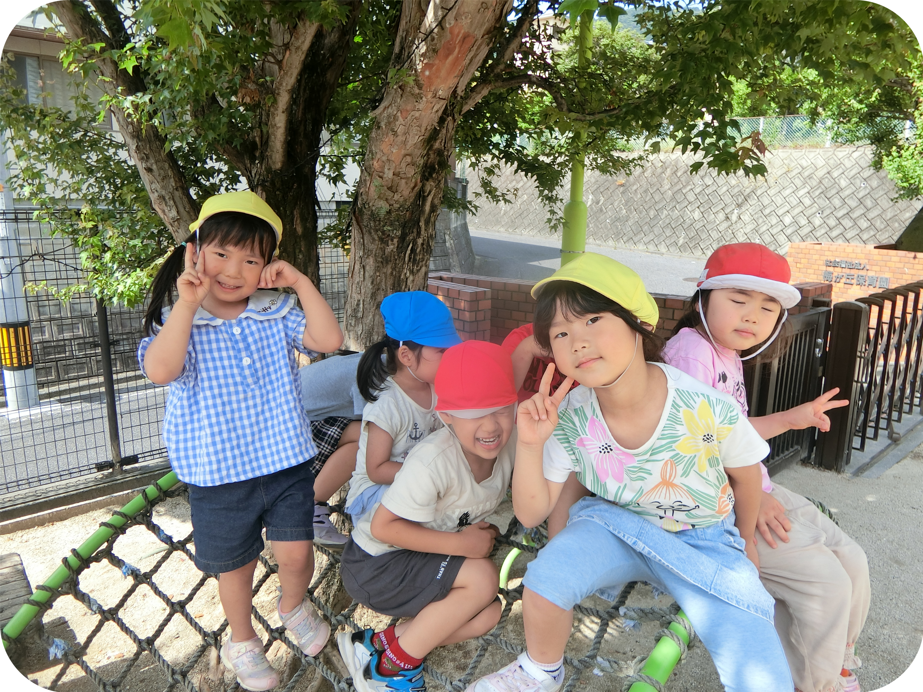 入園のご案内