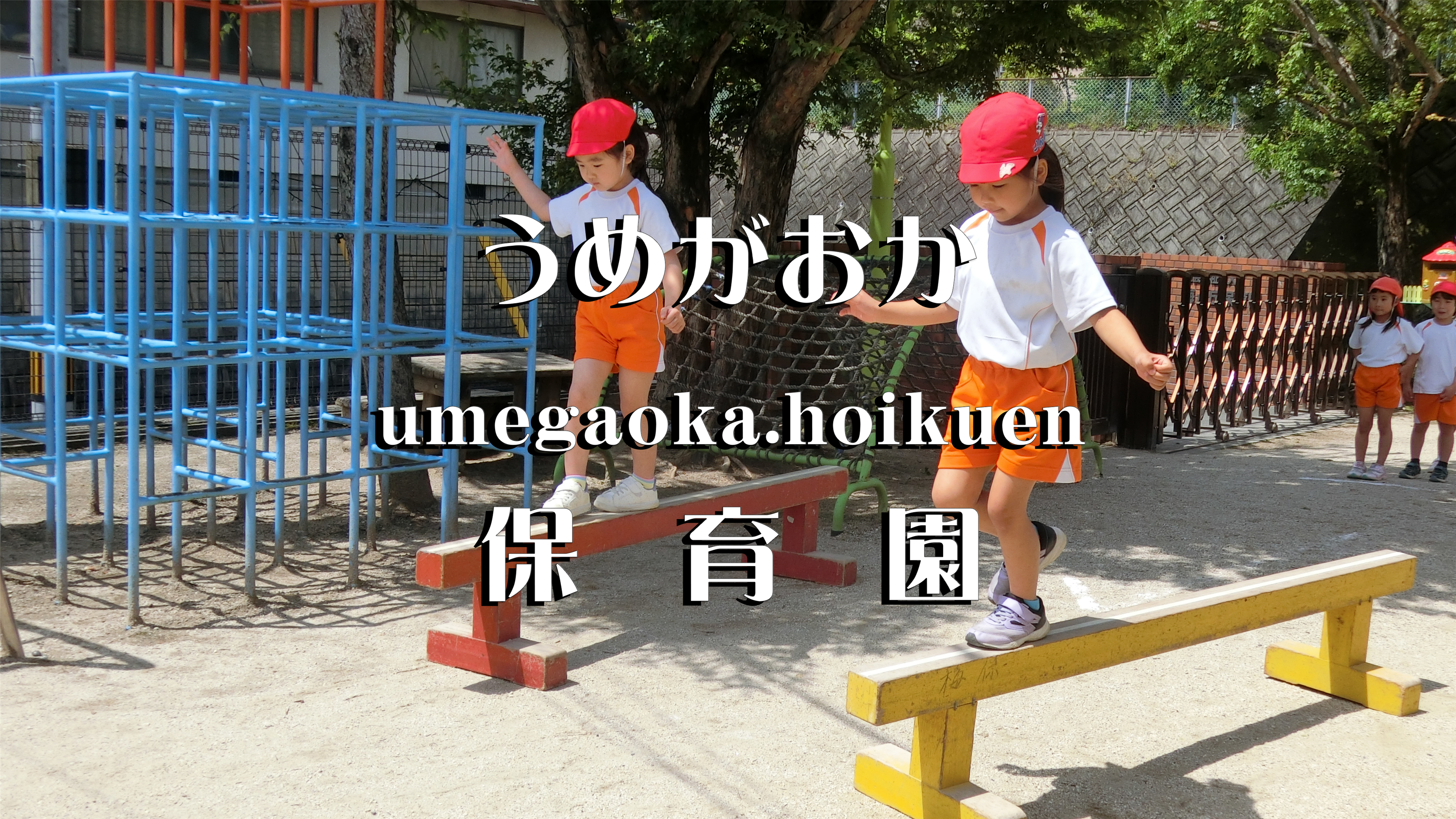 プログラム実施予定表