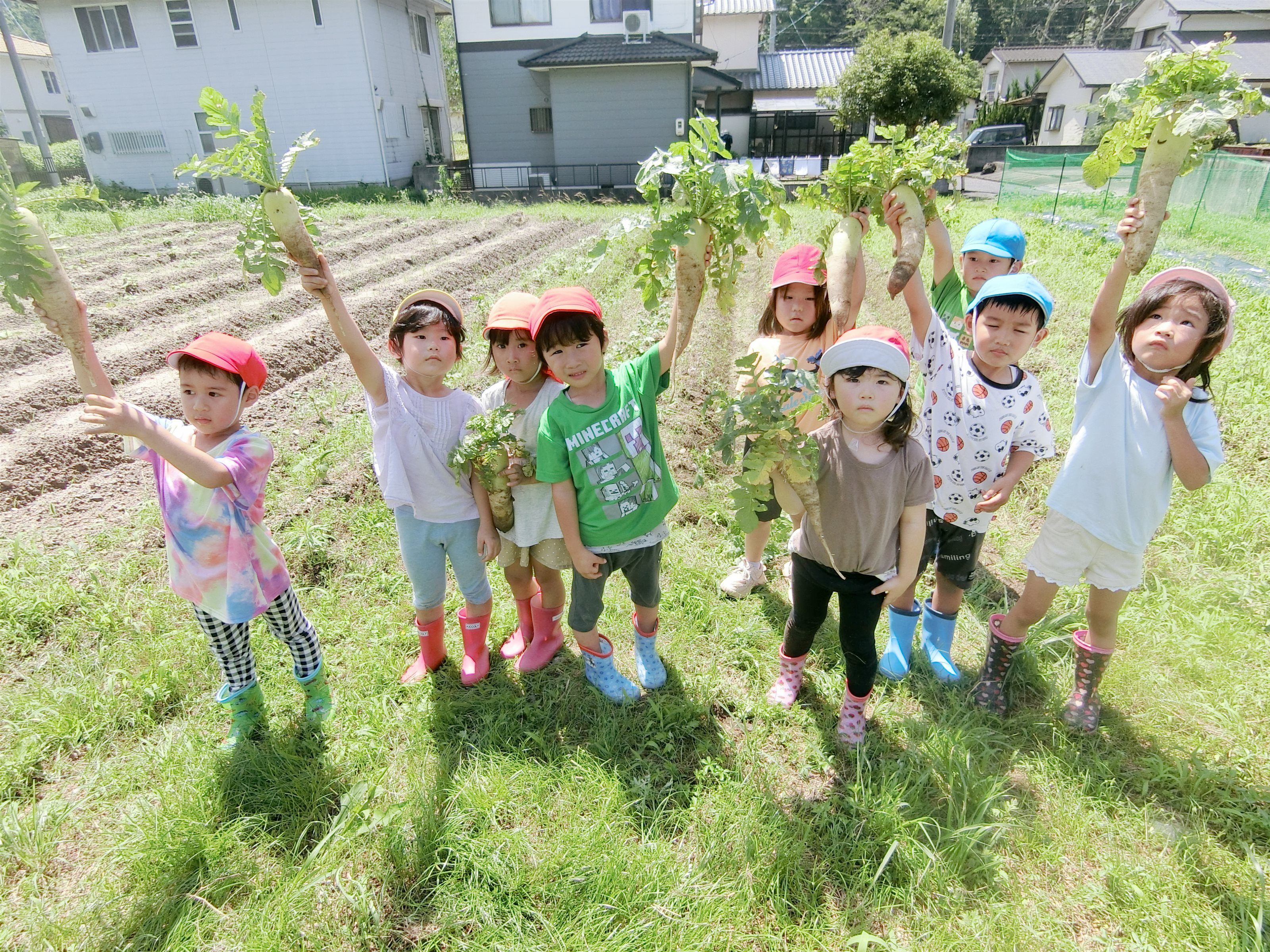 年間野菜栽培計画