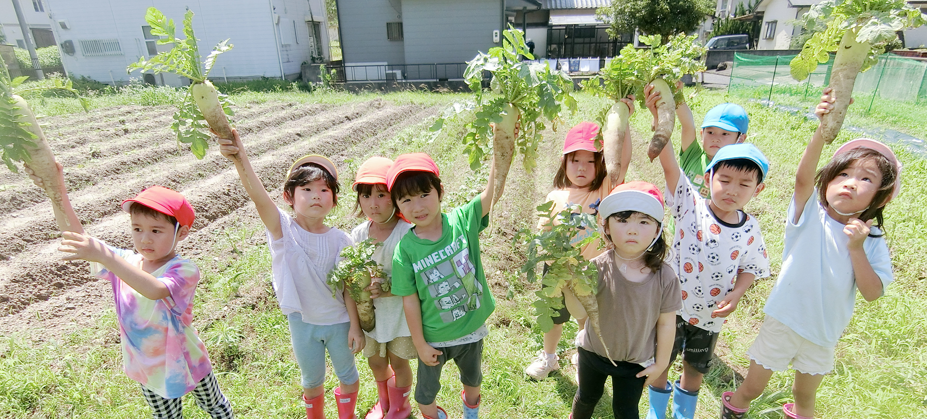 年間野菜栽培計画