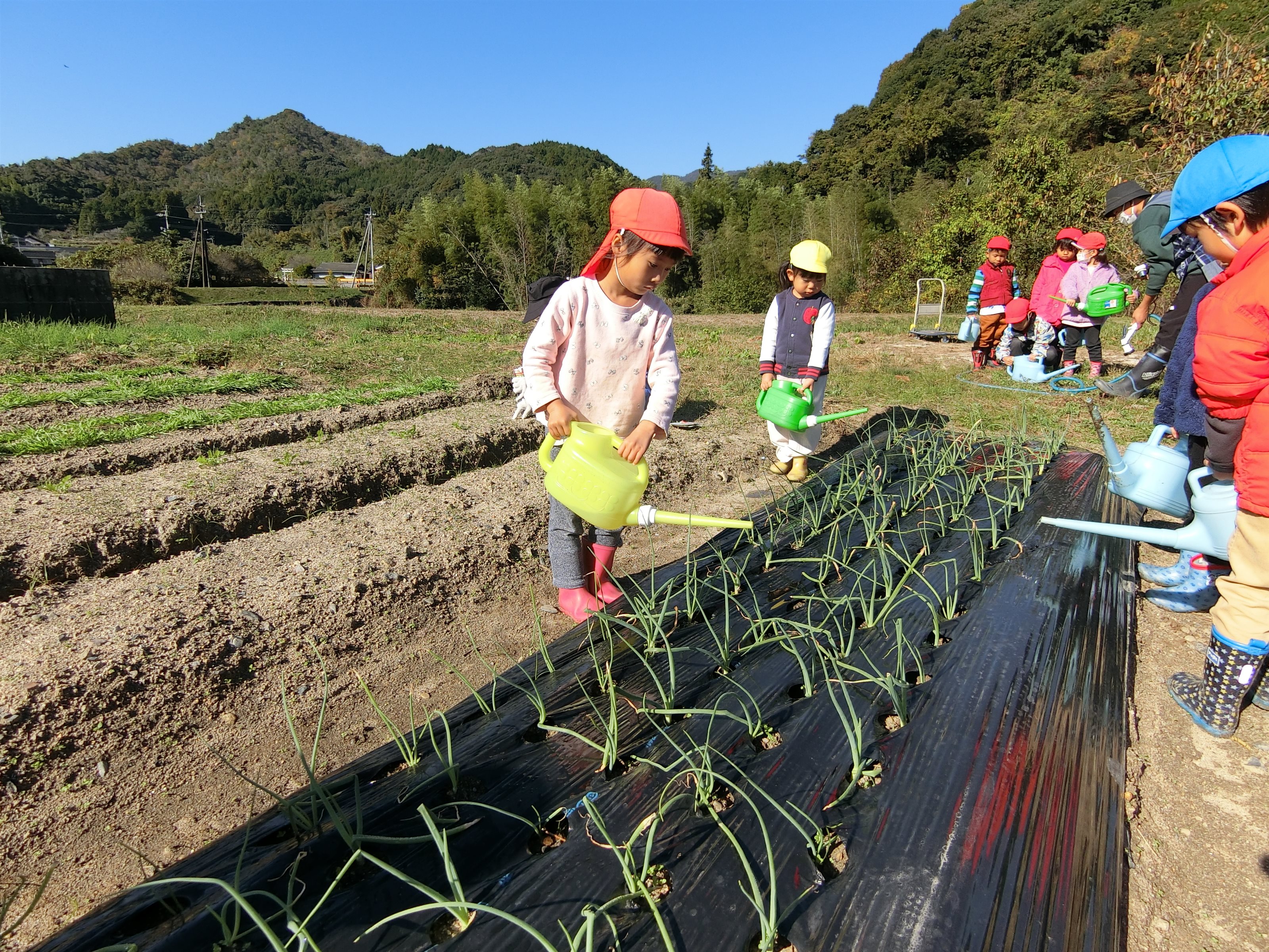 保育活動予定表