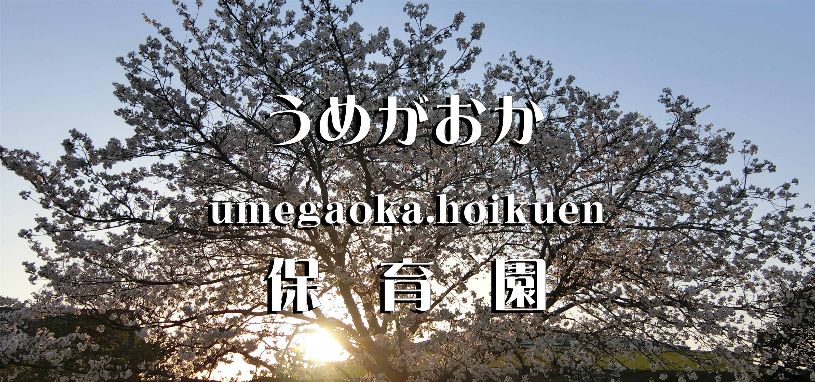求人サイト