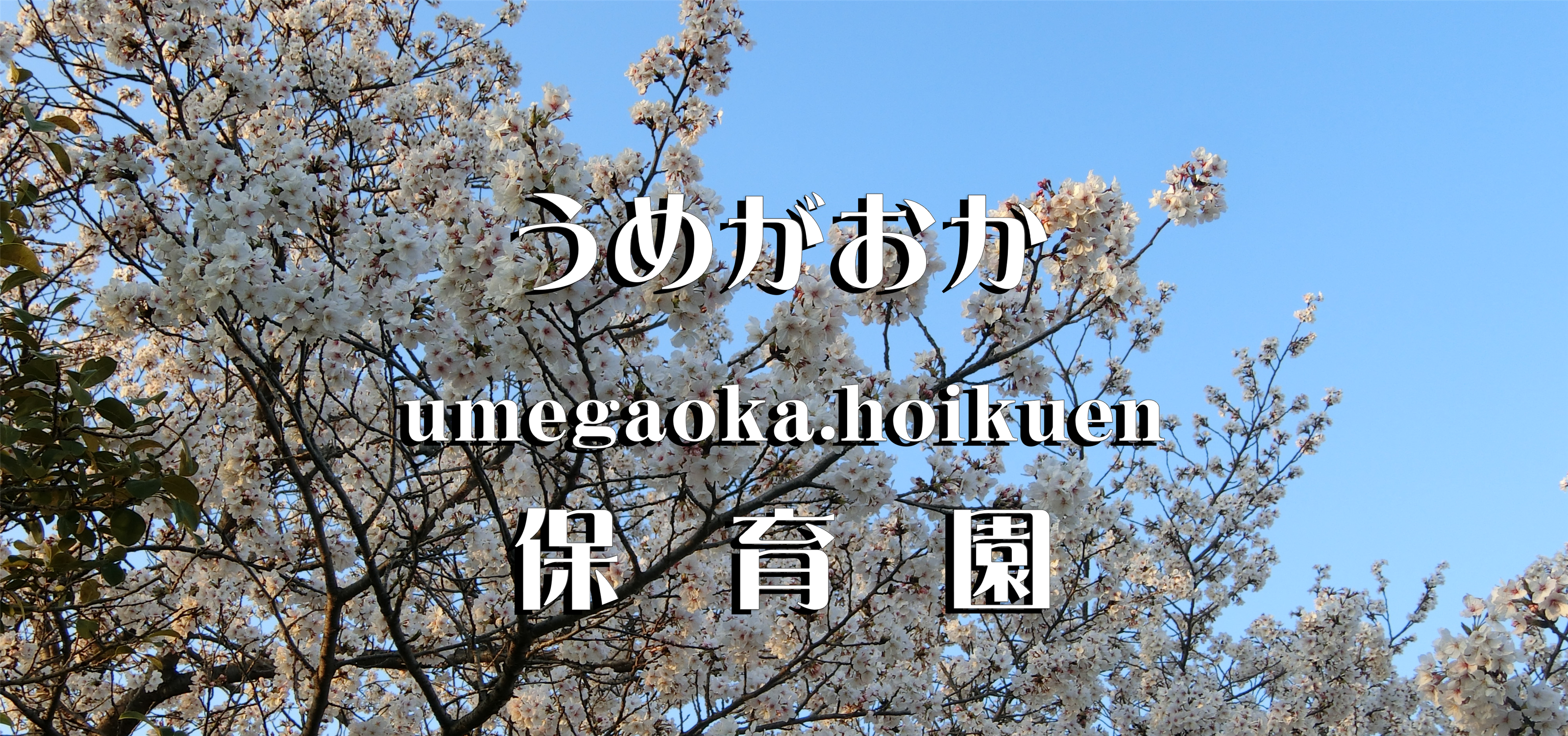 年間行事予定